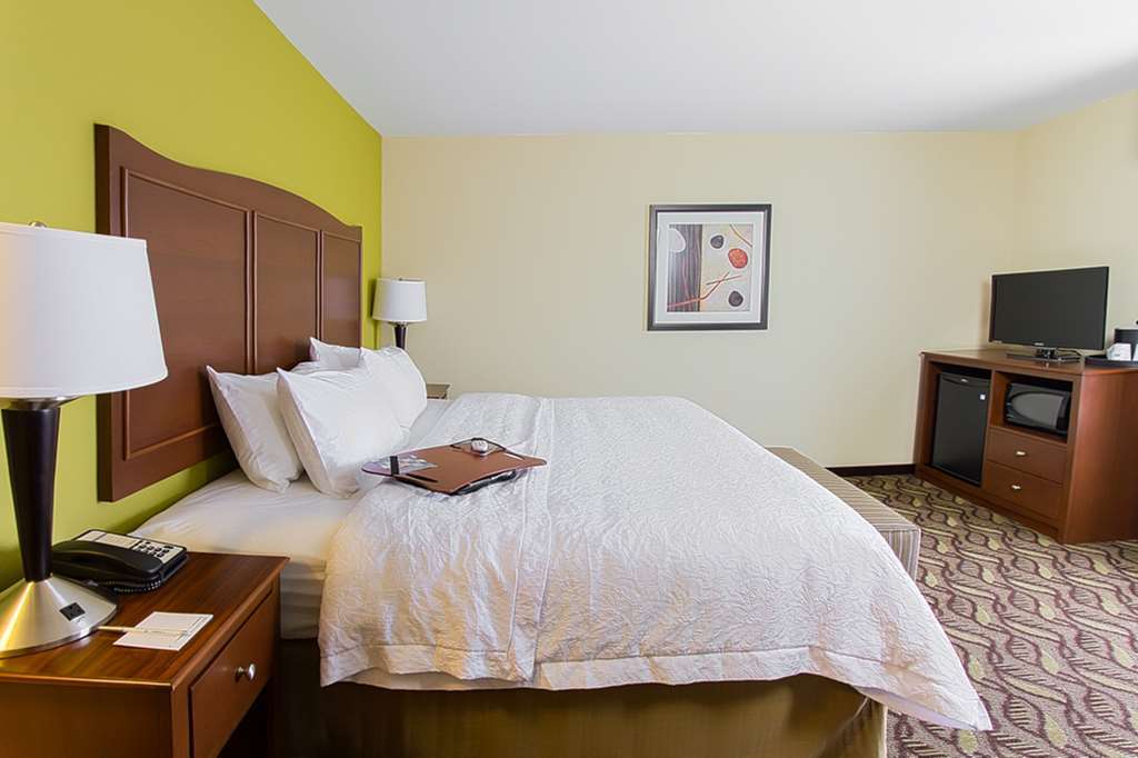 Hampton Inn Dekalb - Near The University Rom bilde
